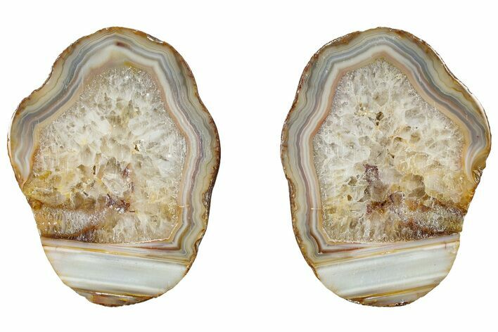 Polished Banded Bahia Agate Nodule Pair - Brazil #314697